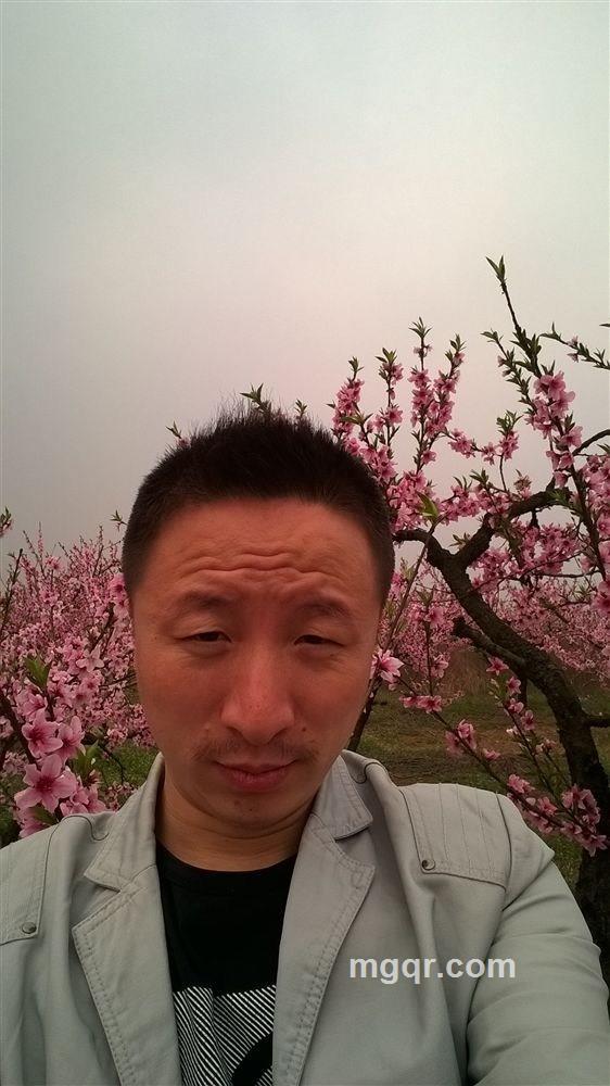 留不住的你的头像