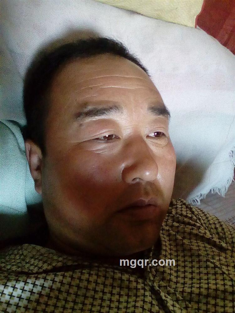 踏雪寻梅的头像