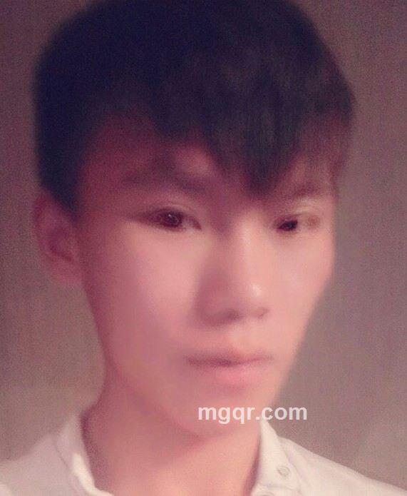 寂寞的鸟的头像