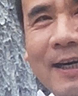 森林木686的头像