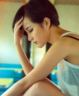 墙上蔷薇的头像