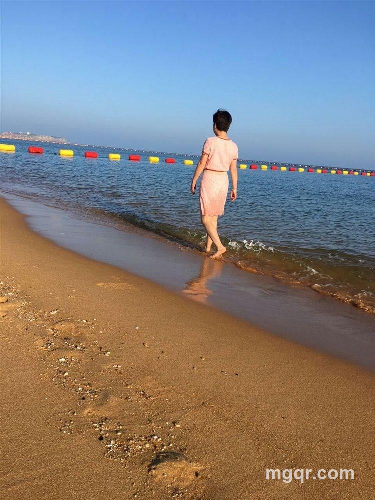 my四季豆的头像