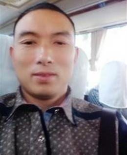 狼的聪明的头像