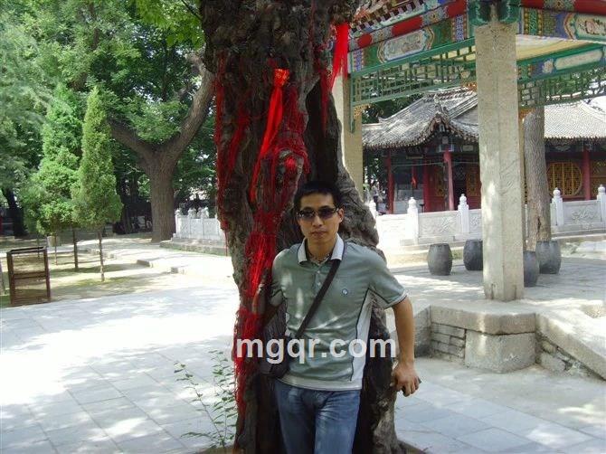 漂泊的心的头像