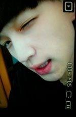 找鸟窝的鸟的头像