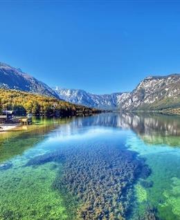 随缘逐浪的头像