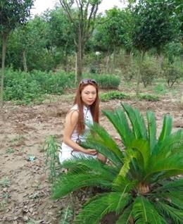 向日葵的夏天~的头像