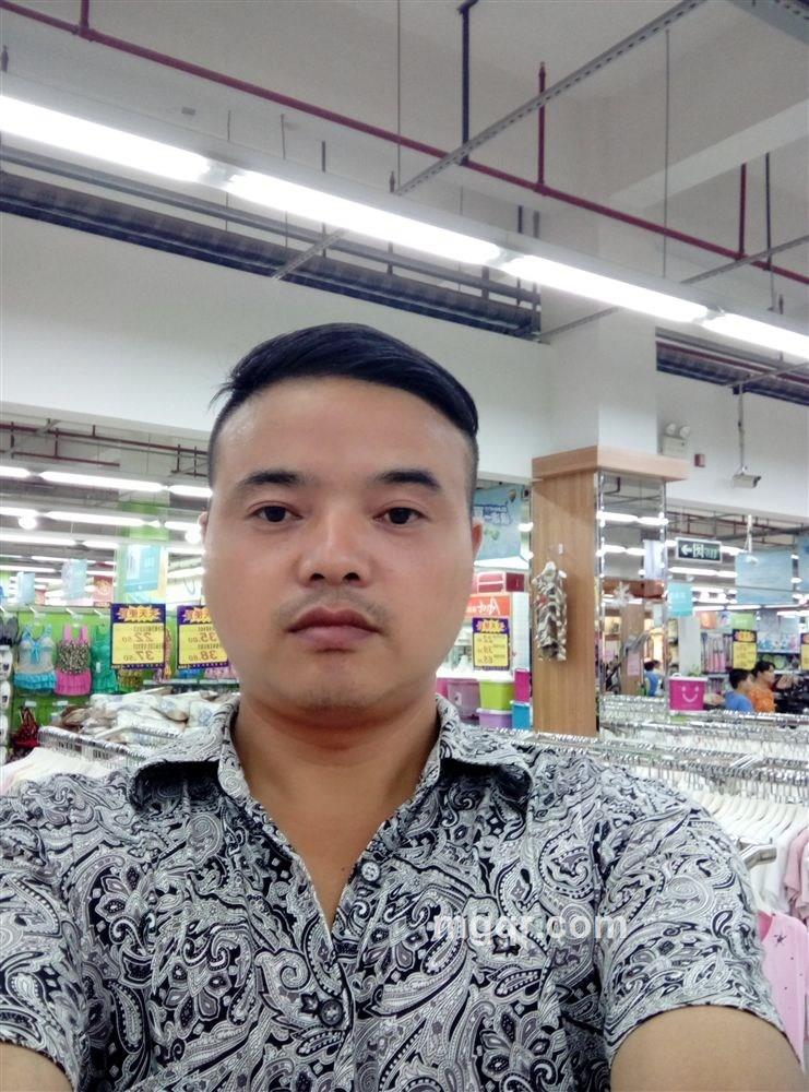 不会小鸟的头像