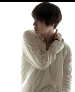 单身金毛的头像