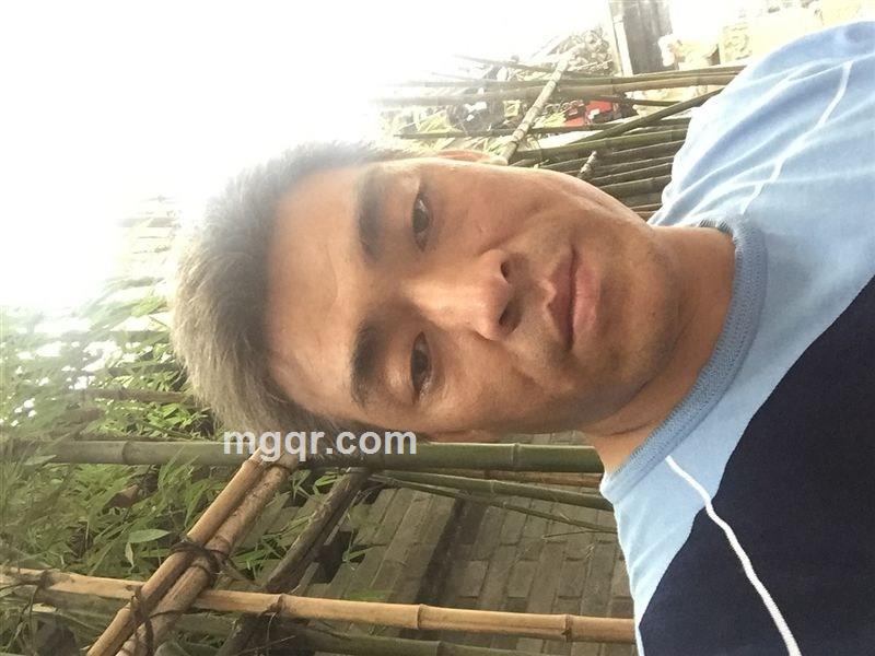 孤独终老的头像