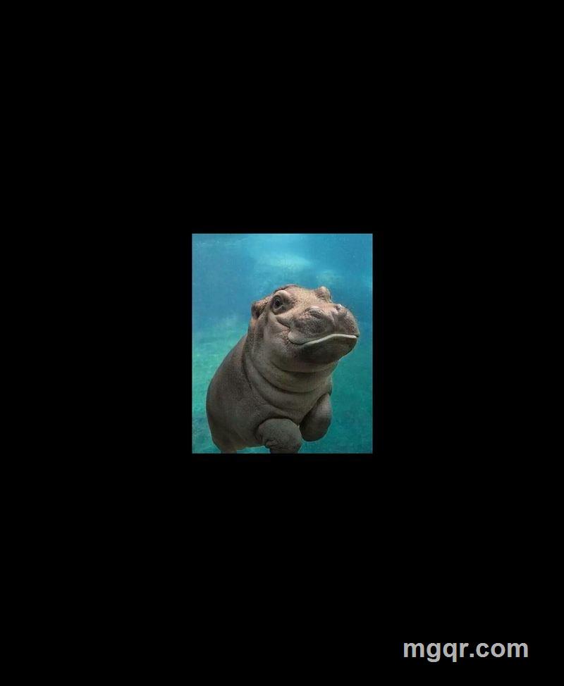 被宠坏的小女人的头像