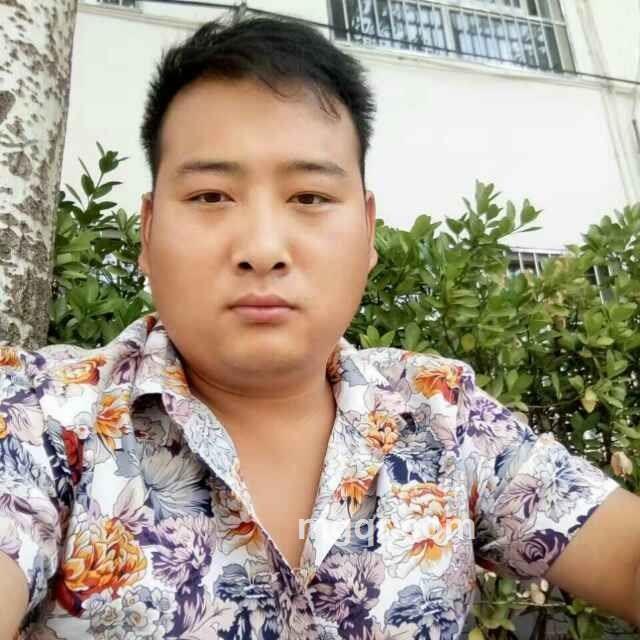 悠扬的风的头像