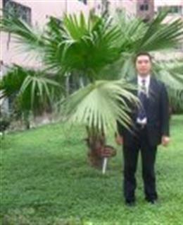 北方的@狼的头像