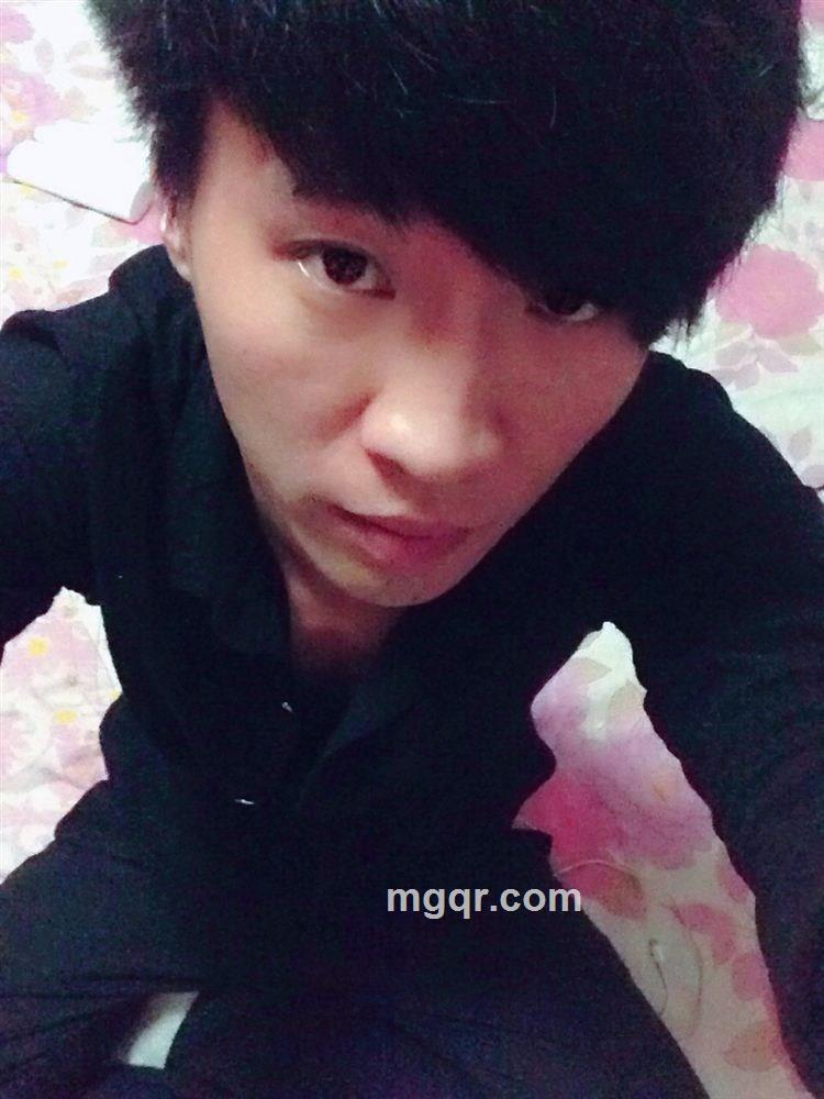 情字何解的头像