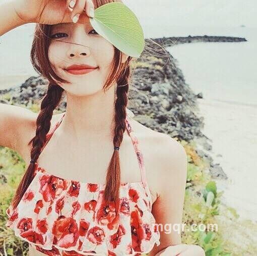 玫瑰与鹿的头像