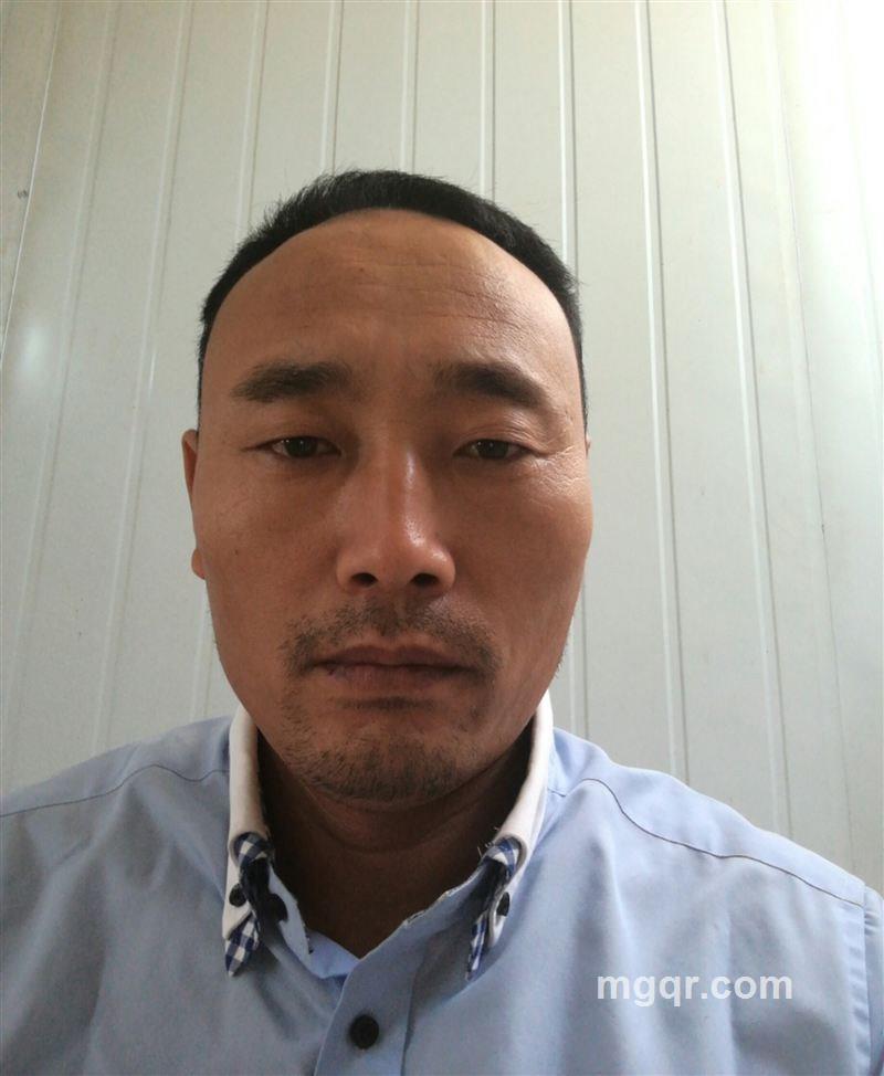 龙行天下的头像