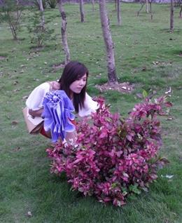 媚姫的头像