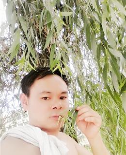 花的味道的头像