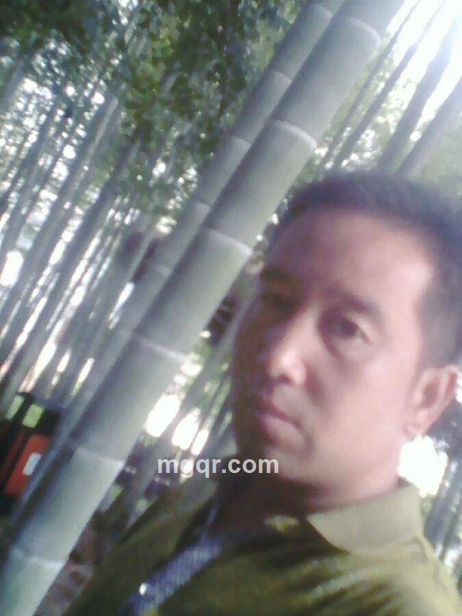 彩云追月的头像