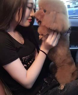 捨得放手的头像