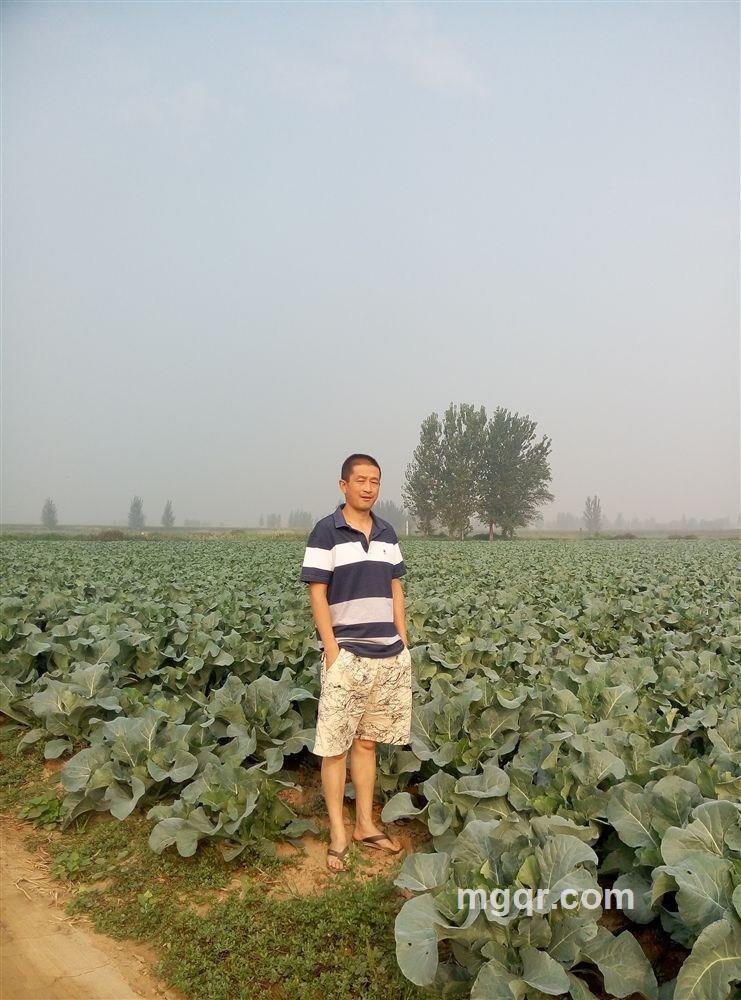 雪都风雨的头像