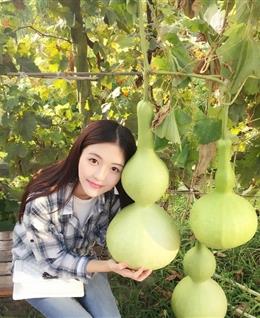 Lucky姐姐的头像