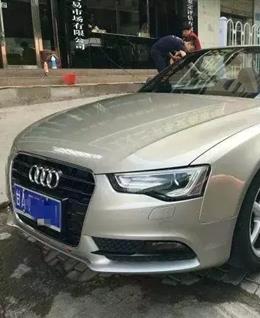 丝袜摸牛的头像