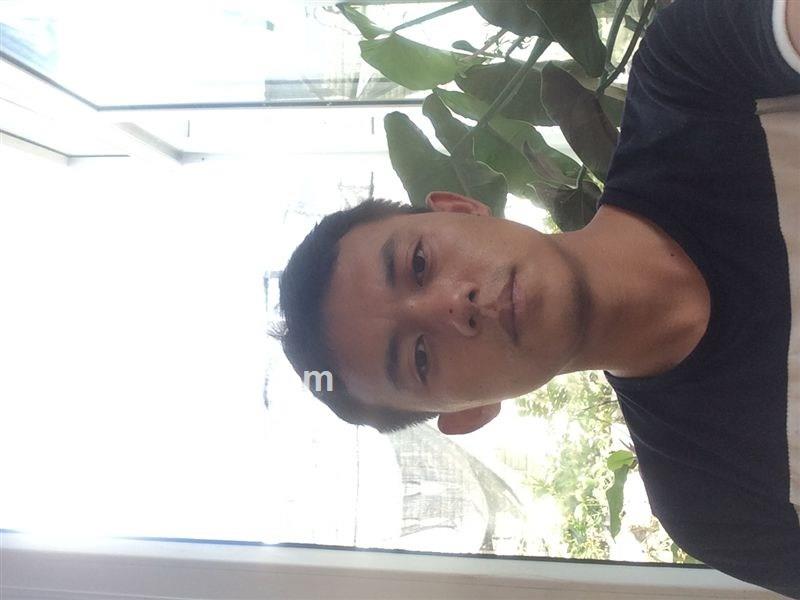 夜风凛凛的头像