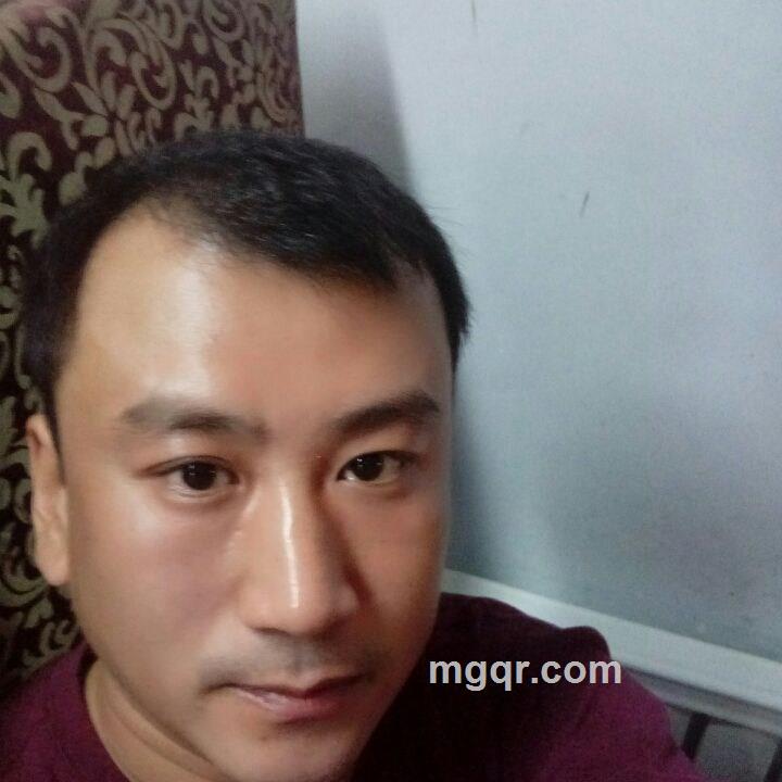 孤独的狼的头像