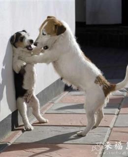 仰望-星辰的头像