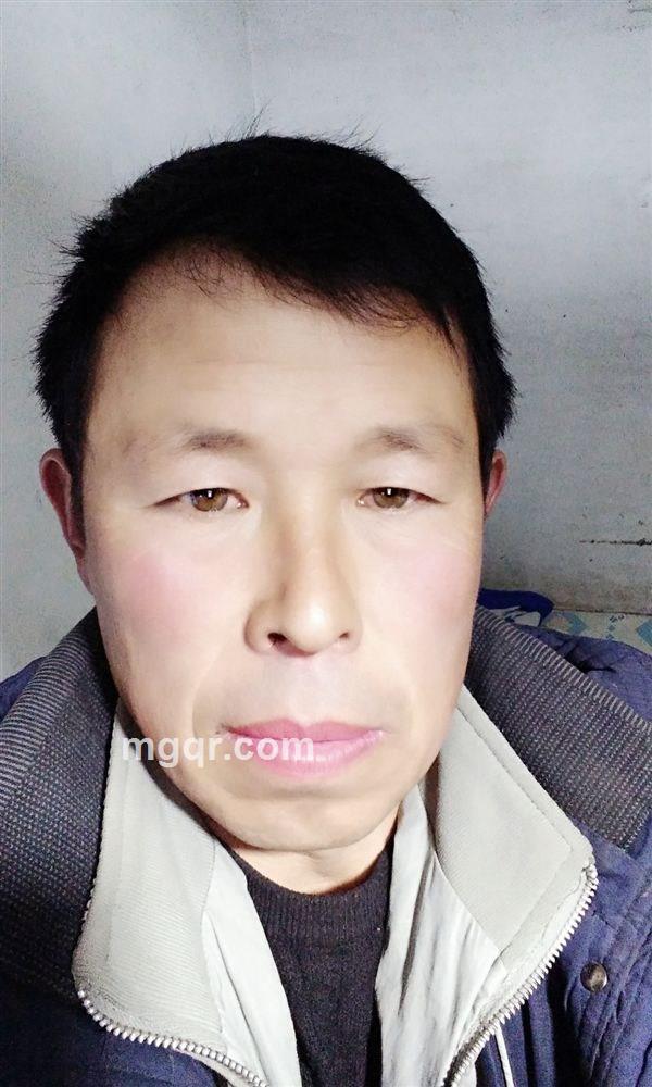 吻花的蝴蝶的头像