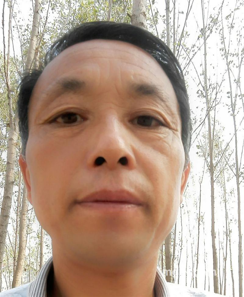 真心友的头像