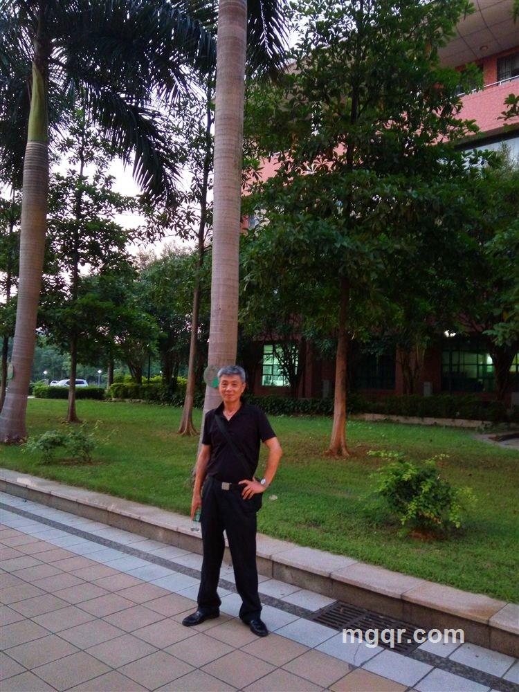 太白晓月的头像