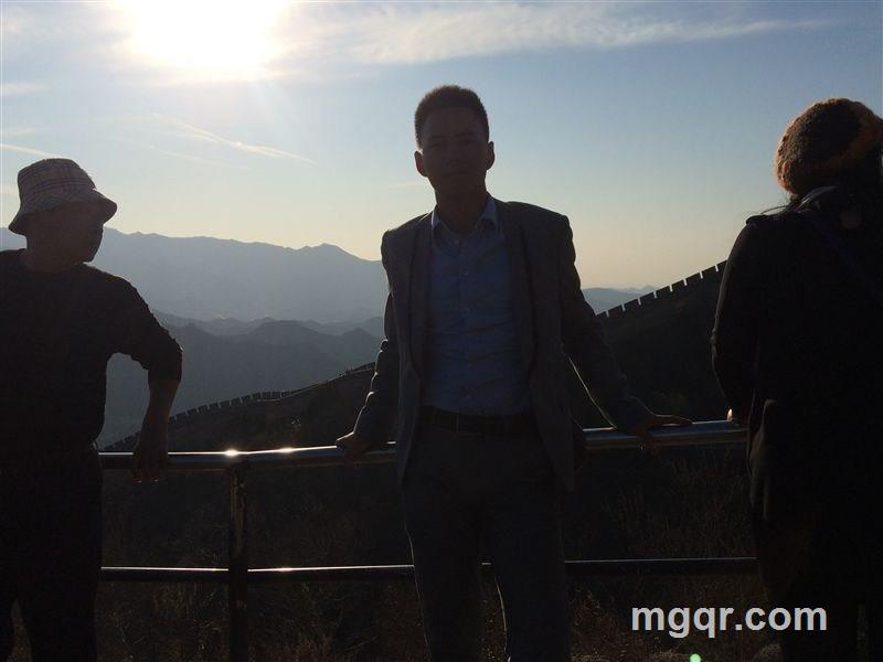 纯情小火鸡的头像