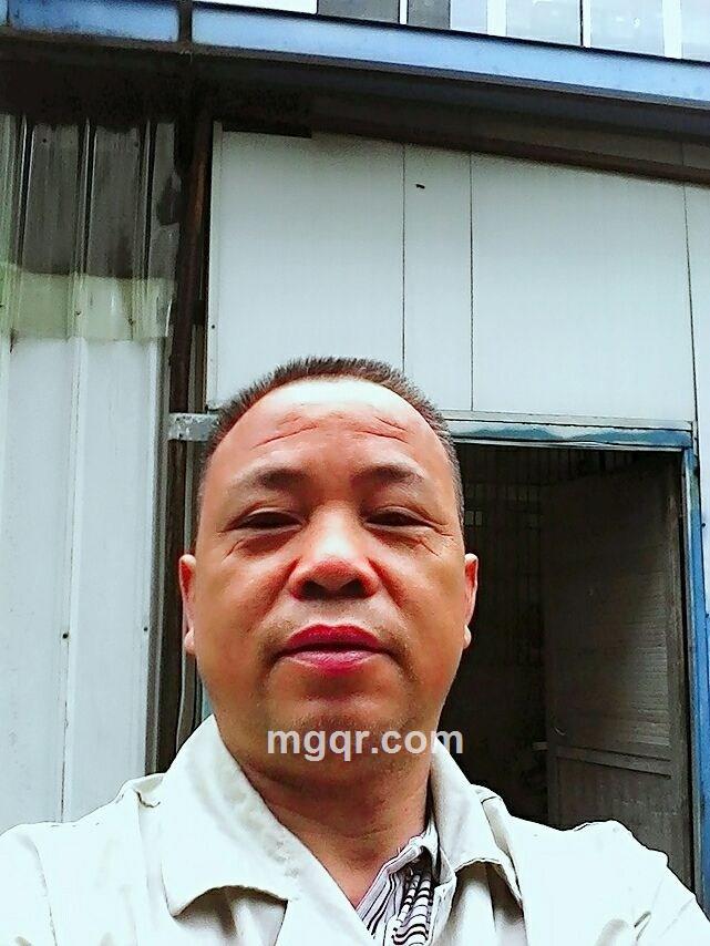 失群的飞鸟的头像