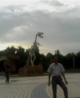 大漠戈壁aaa的头像