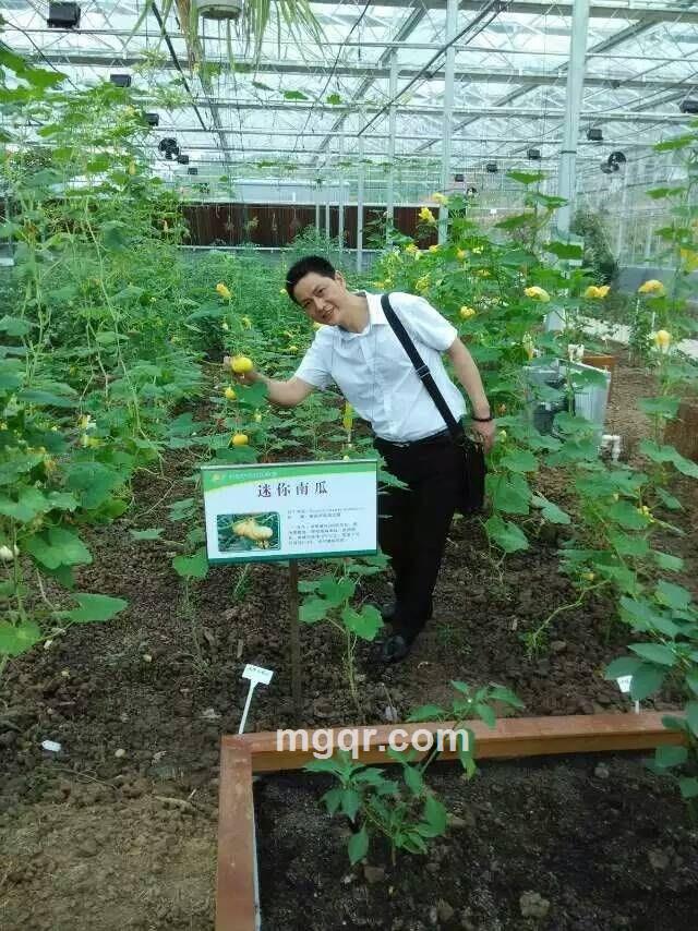 冬天的太阳的头像