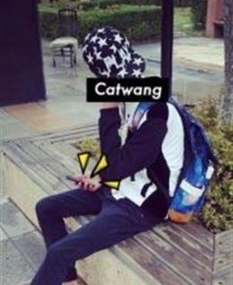 开会踏歌法的头像
