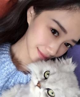 我们H的头像