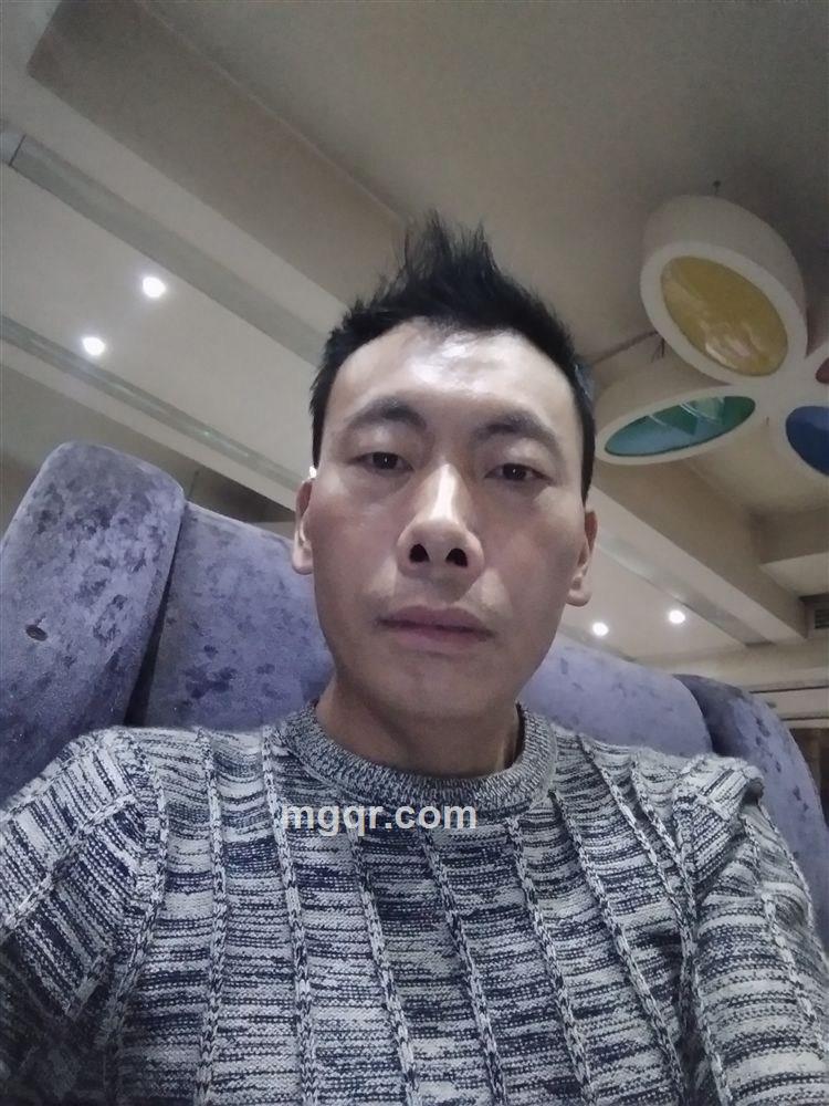 情归何处的头像