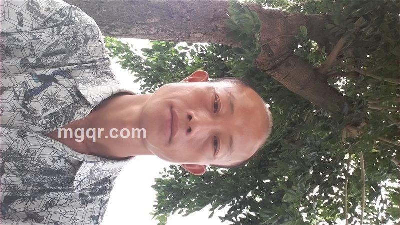 爱上你是我的错的头像