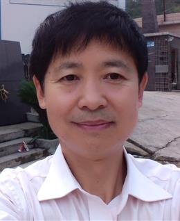 永远的长青树的头像