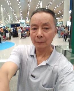 可爱的小猫儿的头像