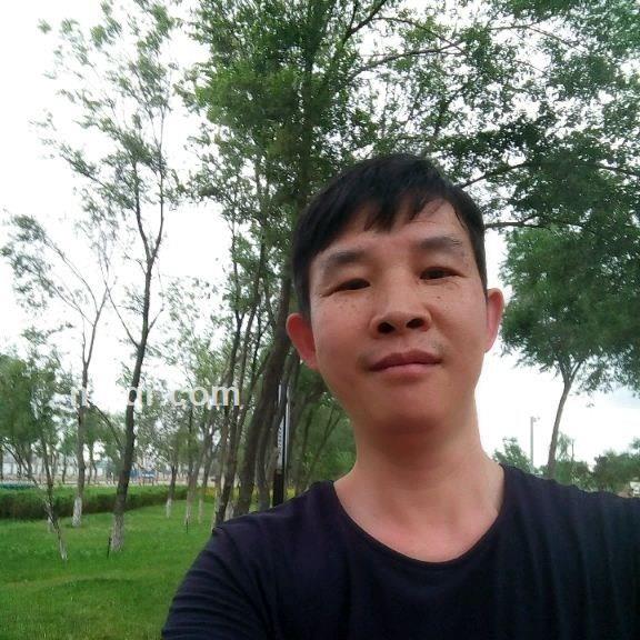 风中劲草的头像