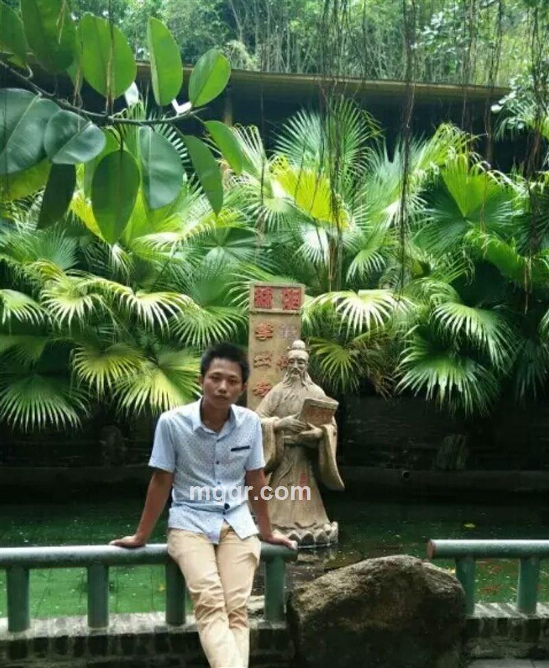 纯情小火机的头像