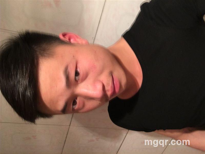 飞蛾扑火的头像