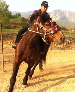 唯你懂我心XX的头像