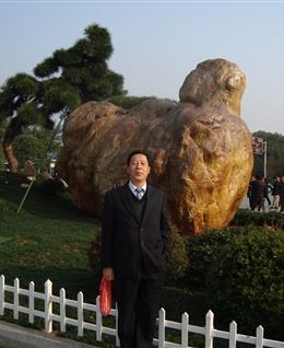 诚心亲亲的头像