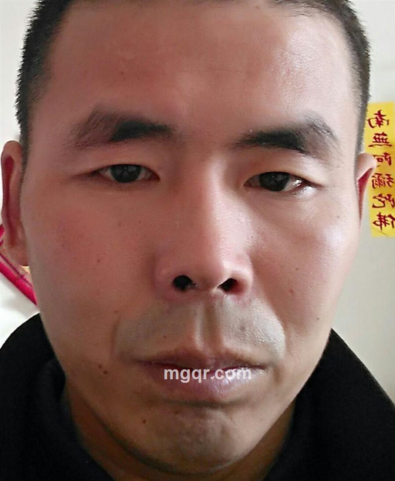 五子登科的头像