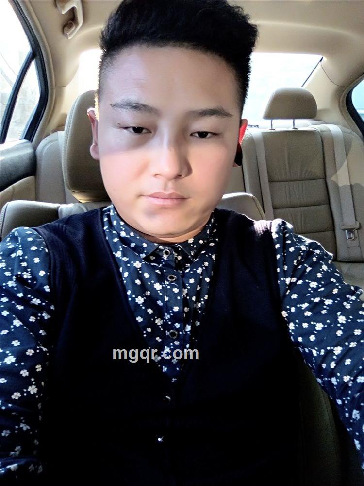 孤独小鸟的头像